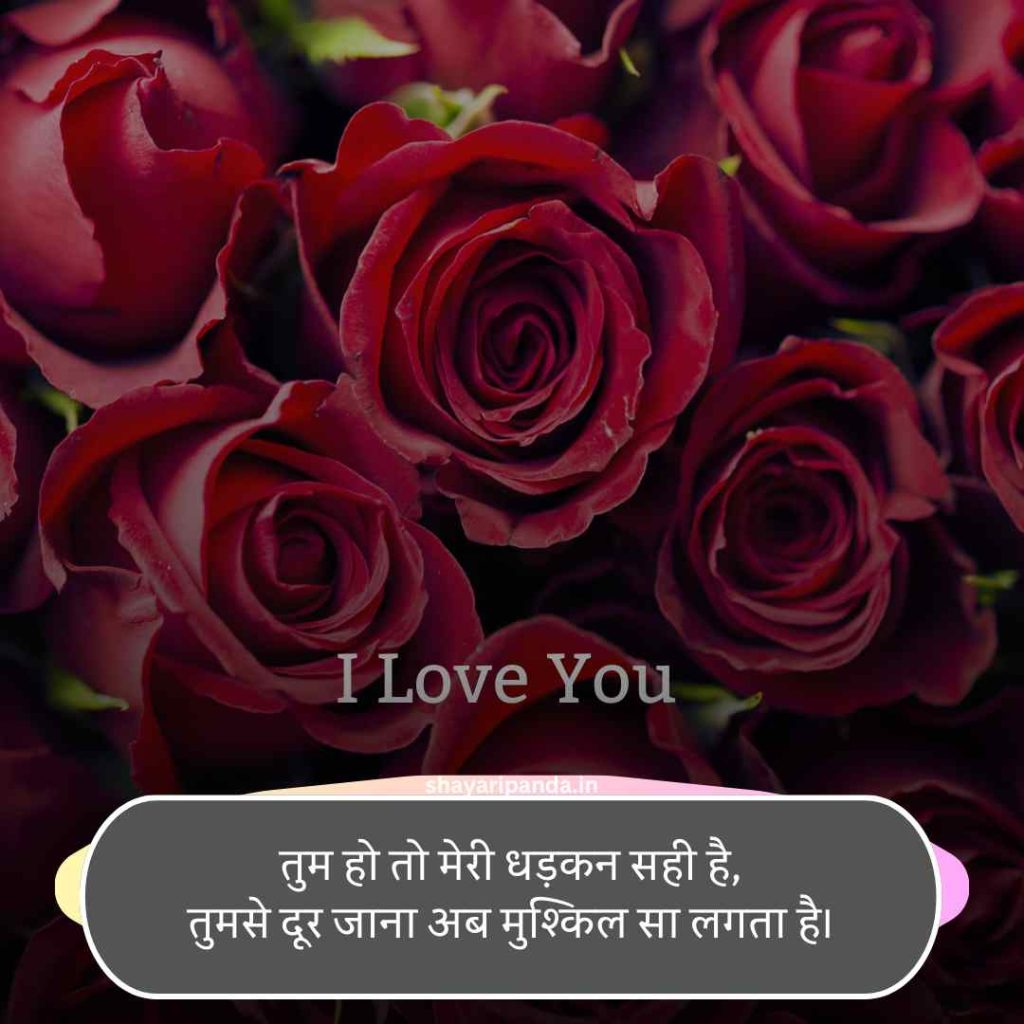 I Love You Shayari