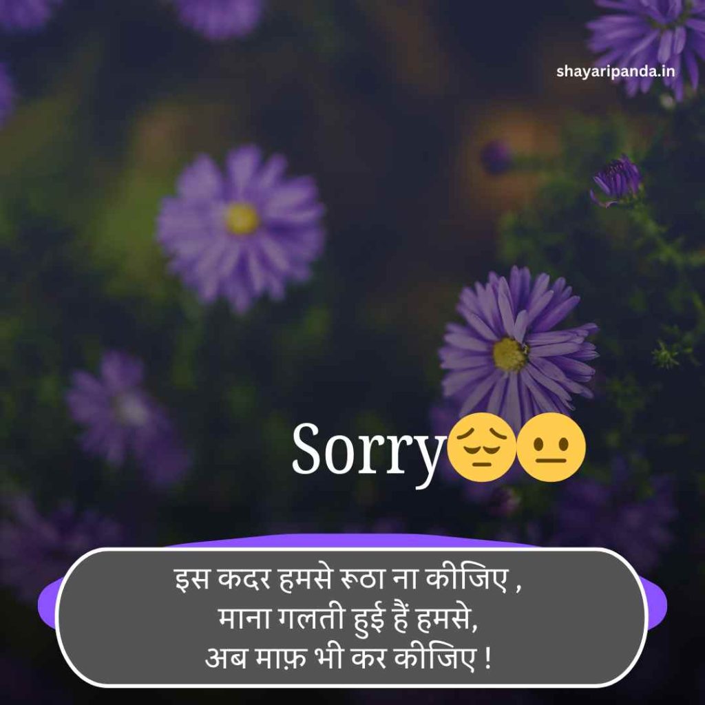 Sorry Shayari in Hindi