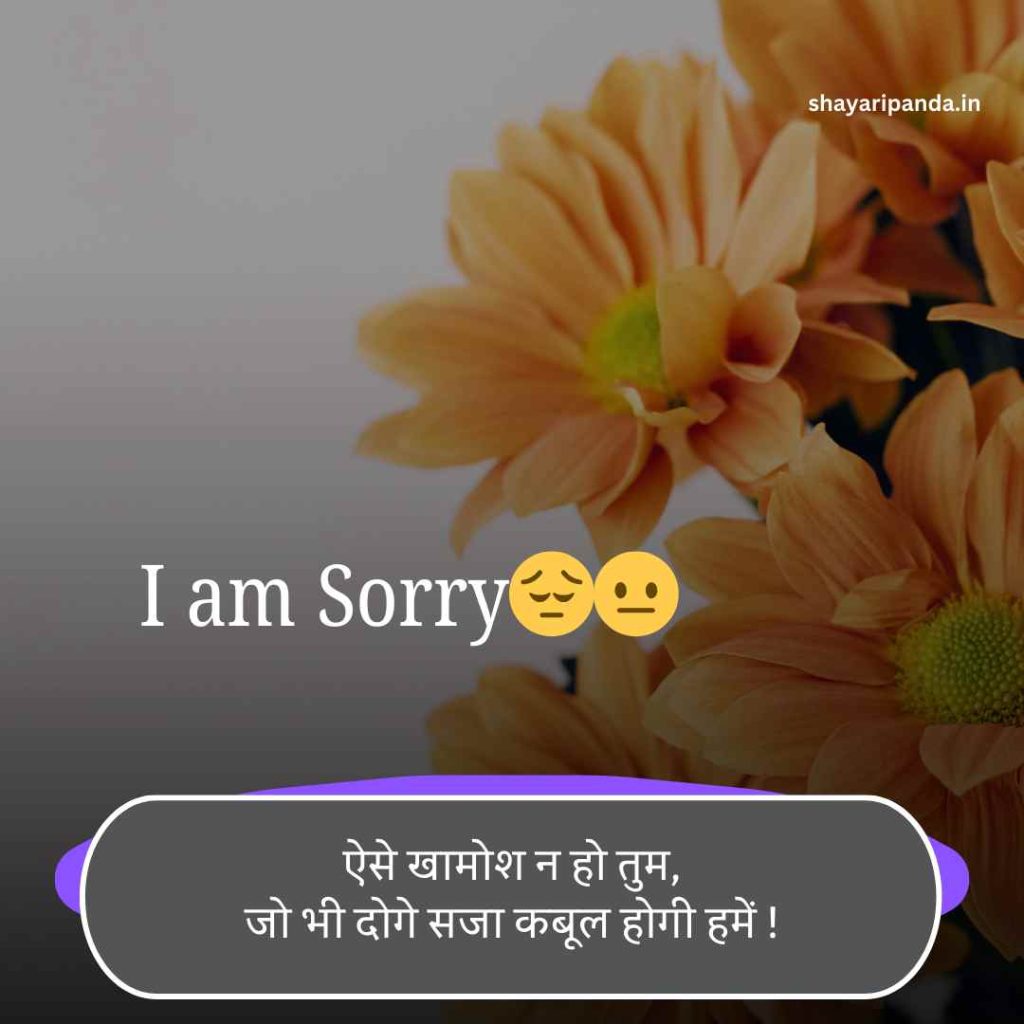 Sorry Shayari in Hindi