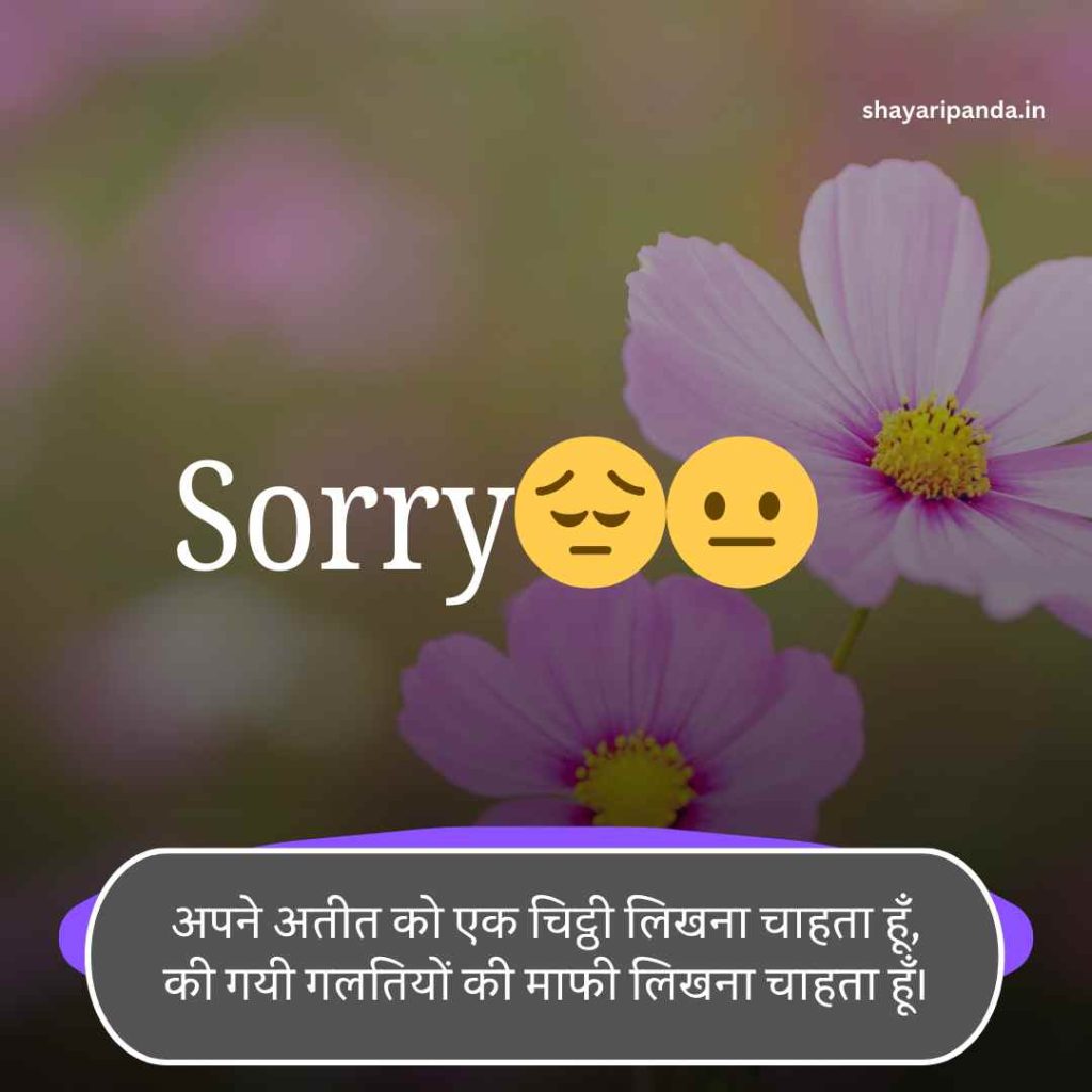 Sorry Shayari in Hindi
